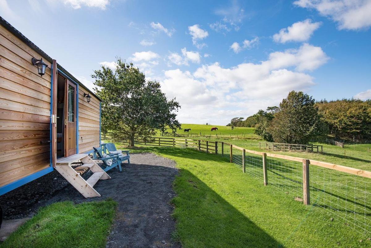 Cow Parsley Shepherd'S Hut Berwick Upon Tweed Zewnętrze zdjęcie