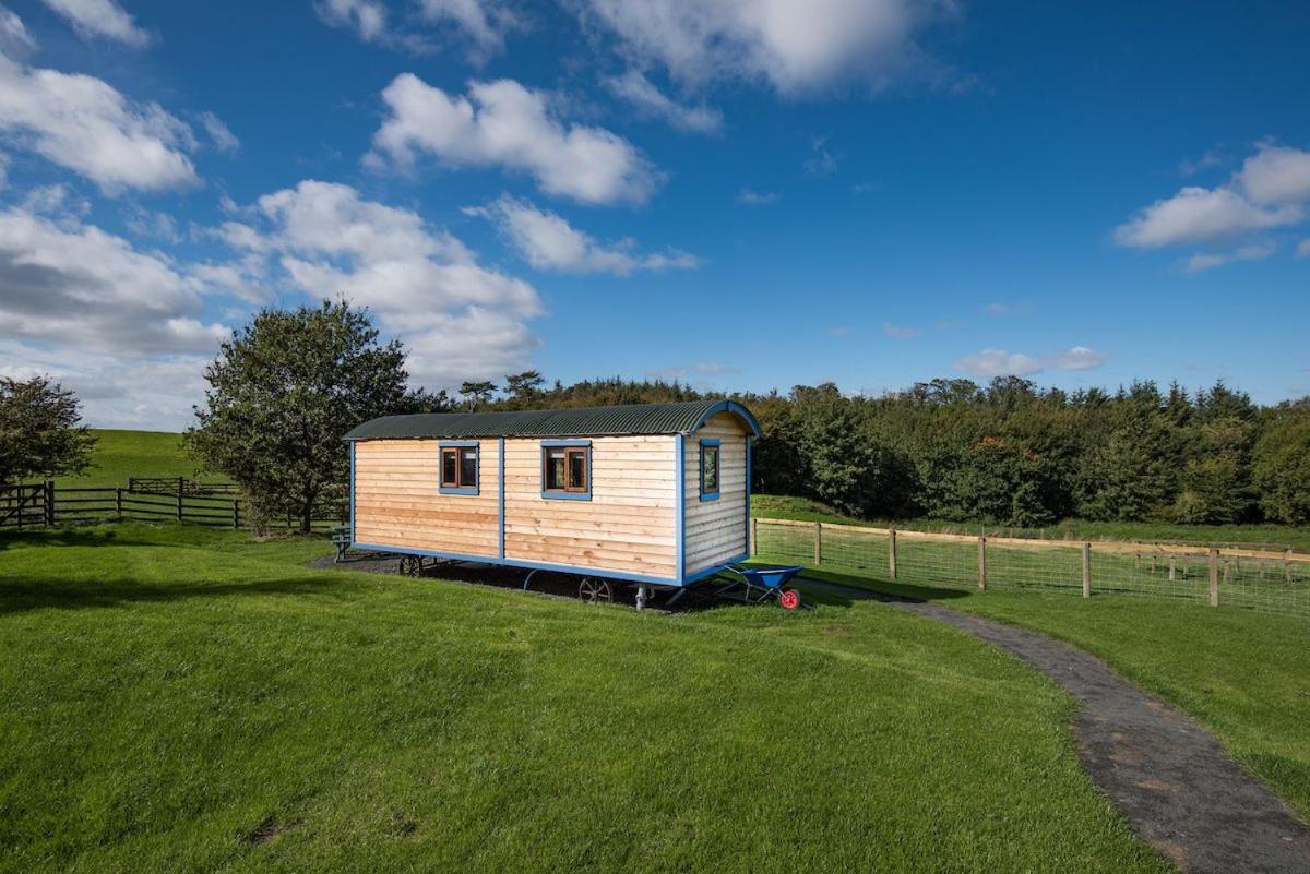 Cow Parsley Shepherd'S Hut Berwick Upon Tweed Zewnętrze zdjęcie