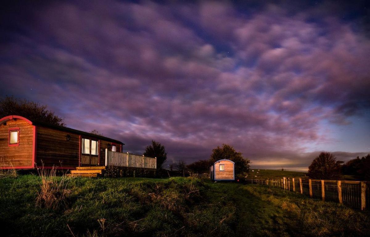 Cow Parsley Shepherd'S Hut Berwick Upon Tweed Zewnętrze zdjęcie